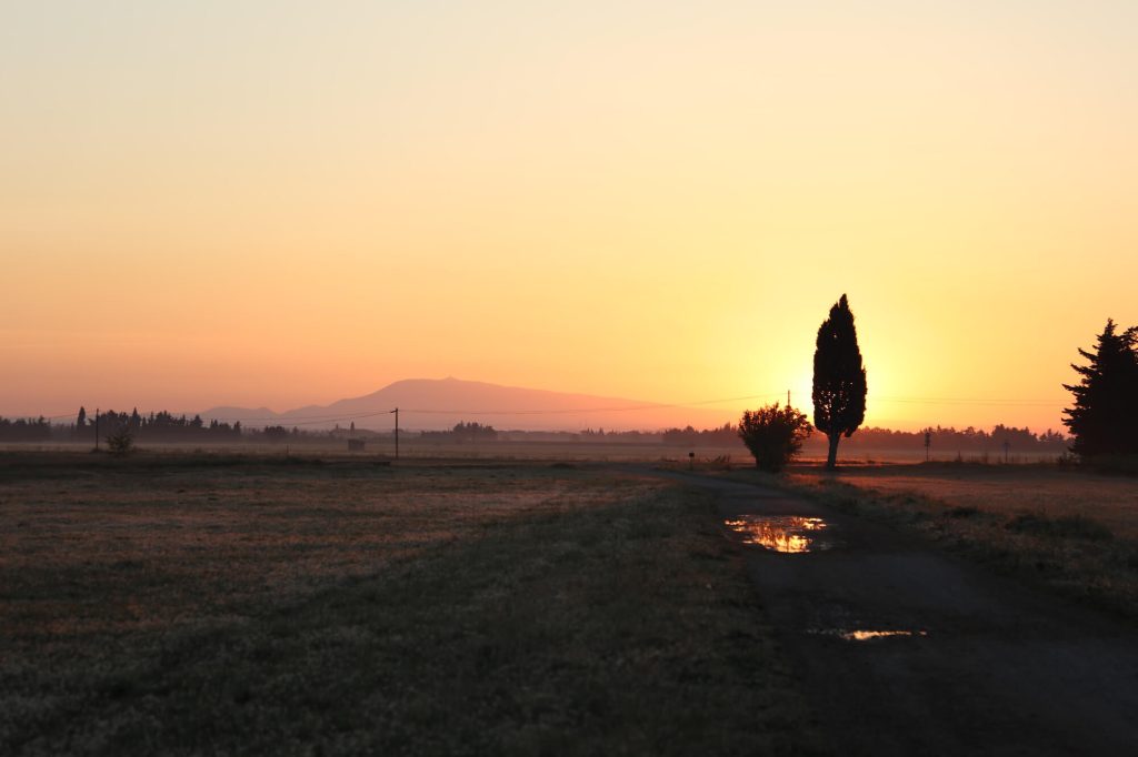 Soleil levant sur le vignobles de Pazac dans le Gard